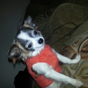 Kim Rutherford - @kimr7526 - Twitter