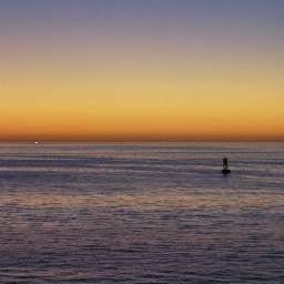 dsortino2's profile picture. 