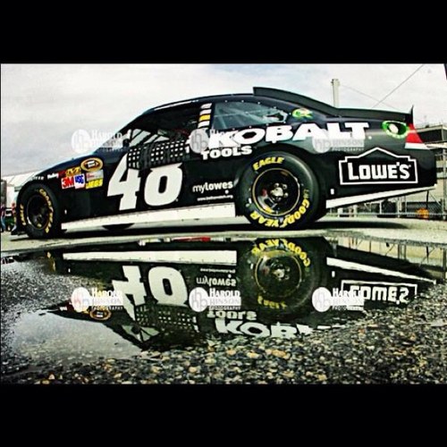 rarekat's profile picture. 