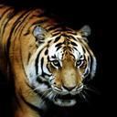 jeff stubblefield - @jeffstubblefiel - Twitter