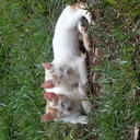 Erika Devera - @erikaelis60 - Twitter