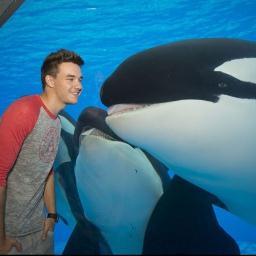 I'M A SONG! I 3 One Direction 3 Directioner forever
