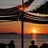Ibiza_Rush's profile image