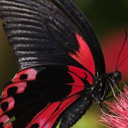 Aprilfrank62's profile picture. I am a Nana of 7 who loves to knit, crochet and spend time with my beautiful grandchildren.  I am an avid reader and gamer.