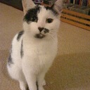 Karen Sharp - @MailSharp - Twitter