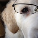 Joni Carnes - @JoniCarnes - Twitter