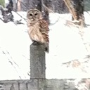 Charles Cooley - @charles_cooley - Twitter