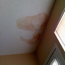 York Rex - @York_Rex - Twitter