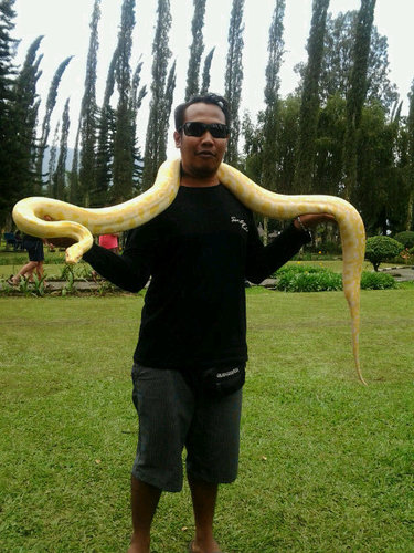 artamulyana's profile picture. Semangt demi masa depan..