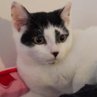 Justin Starner (@jks442) 's Twitter Profile Photo