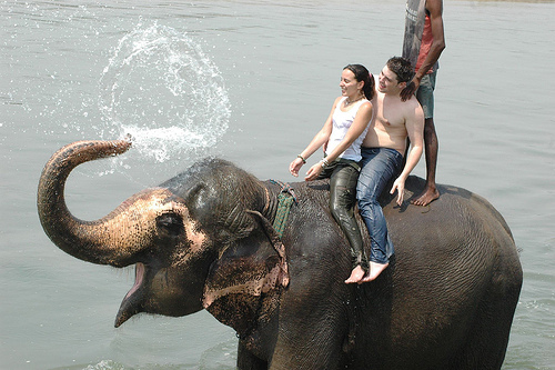 This is a account of everyone who loves chitwan..