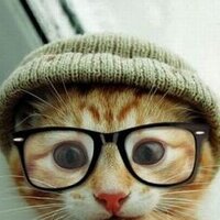 Kedi Sahibi (@kedisahibi) Twitter profile photo