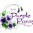 The Purple Pansy
