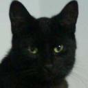 Roberto Carlo Mesa - @lan_colombia - Twitter