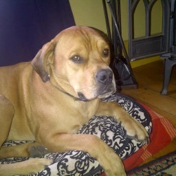 wagemans_s's profile picture. 