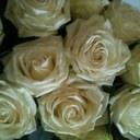 Jan Thurman - @tobajo - Twitter