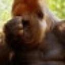 Richard Wright - @dick_Wright - Twitter