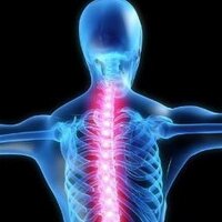Spine and Disc (@spineanddisc1) 's Twitter Profile