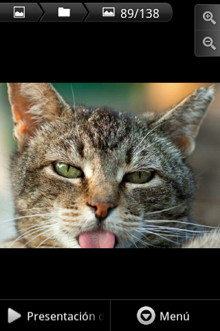 AskPreguntas's profile picture. 