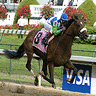 Long Time Horse Racing Handicapper.  Owned and Raced Horses at Mountaineer Park. Nicknamed Picsix after hitting an over $1,100,000 pick six at Aqueduct.