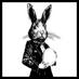 TheBeauBunny (@thebeaubunny) Twitter profile photo