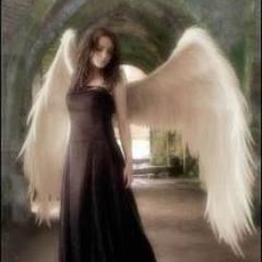 thenameisarie Profile Picture