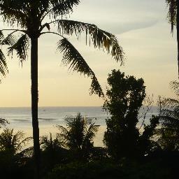 digtalian's profile picture. 