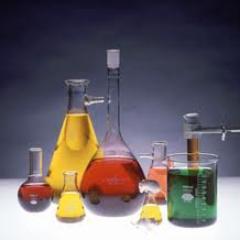 Estudiantes de CYTA de la UNEX.               Futuros inspectores de sanidad, investigadores, y aprendiendo algo de nutrición...
