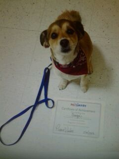 Dfunnyvideoss's profile picture. lalLa