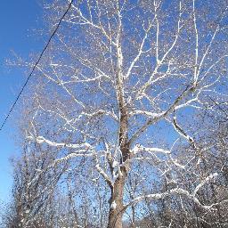 DexChandler's profile picture. artist, poet, free-thinker, writer. .