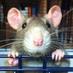 Sarah @craftyrat@mastodon.org.uk (@craftyratuk) Twitter profile photo