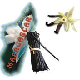 Sublime VANILLE BOURBON de Madagascar
http://http://t.co/b67GvqBxRS