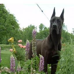 B__Wallace's profile picture. 