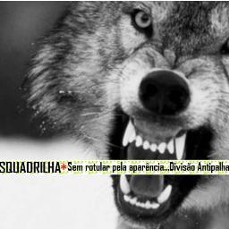 Squadrilha - Sem rotular pela aparência...Divisão Antipalha. 1 maluco do RJ e 2 de SP fazendo um som...
SP & RJ · http://t.co/3IOFgyWwrh