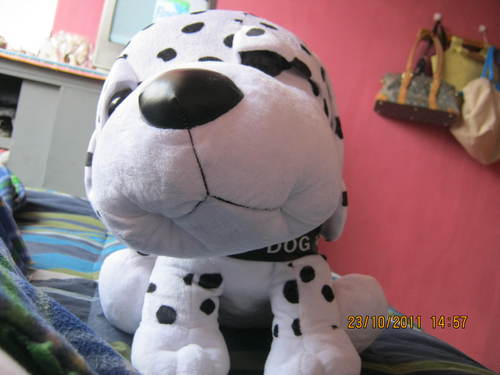Amante de los perros