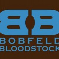 Bobfeld Bloodstock (@bobfeldbldstock) 's Twitter Profile