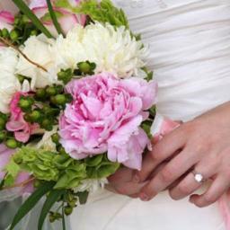 Since 1964, our family's floral business has been servicing the Tampa Bay area. We have a wide selection of flowers and gifts for any occasion.