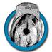 ScruffyDogSilver (@scruffydogsteph) Twitter profile photo ScruffyDogSilver (@scruffydogsteph) Twitter profile photo