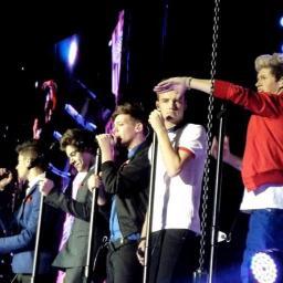 Huge Fan of @onedirection :)    ask for follow back :)