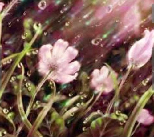 Let us dance in the sun wearing flowers in our hair, dance today with the flowers for our tommorrows are not promised.