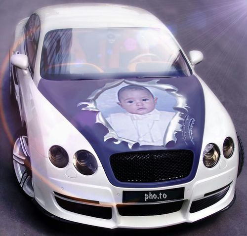 alejand60560486's profile picture. 