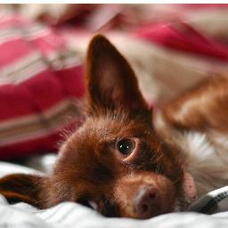 klrucker's profile picture. ...