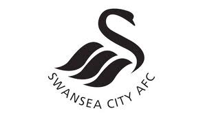 Swans FC Profile