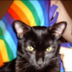 frog4gtc's profile picture. books. cats. (and tea) life is good.
she/her