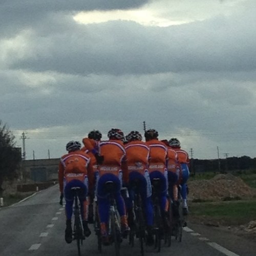 gepensioneerd. ex talentcoach knwu. ex beroepswielrenner. ex beroepstriatleet.