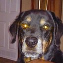 Ray LaChance - @RayLaChance1 - Twitter