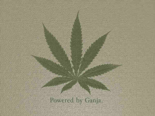 KINGPufff's profile picture. Authentic af, just coolin it....here to inspire those real Smoker's