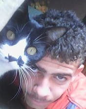 coleciono parceiros na caminhada,
inimigos nao coleciono, nao me relaciono nao me emociono, por eles nao sinto nada...