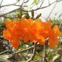 Nancy Burley - @Cre8iveMomma - Twitter