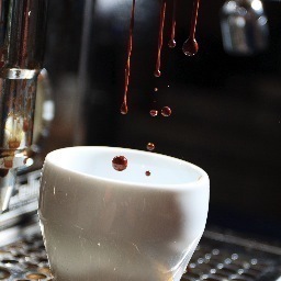 espressoschott's profile picture. Yukon's source for coffee equipment, training and expertise - from home enthusiast to professional barista.  Take your coffee to the next level!